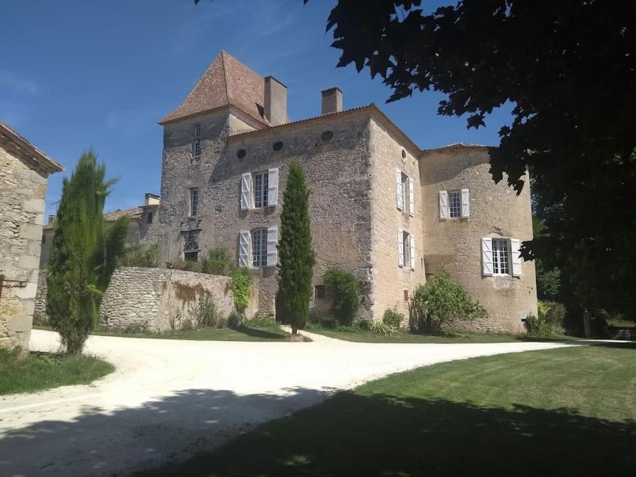 Chateau Barayre - Beautiful 12Th Century Castle With Pool And Large Garden Laussou Esterno foto