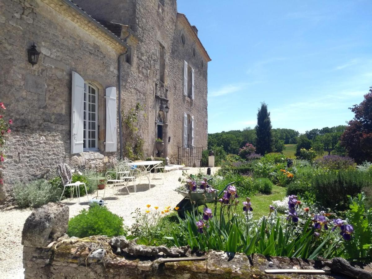 Chateau Barayre - Beautiful 12Th Century Castle With Pool And Large Garden Laussou Esterno foto